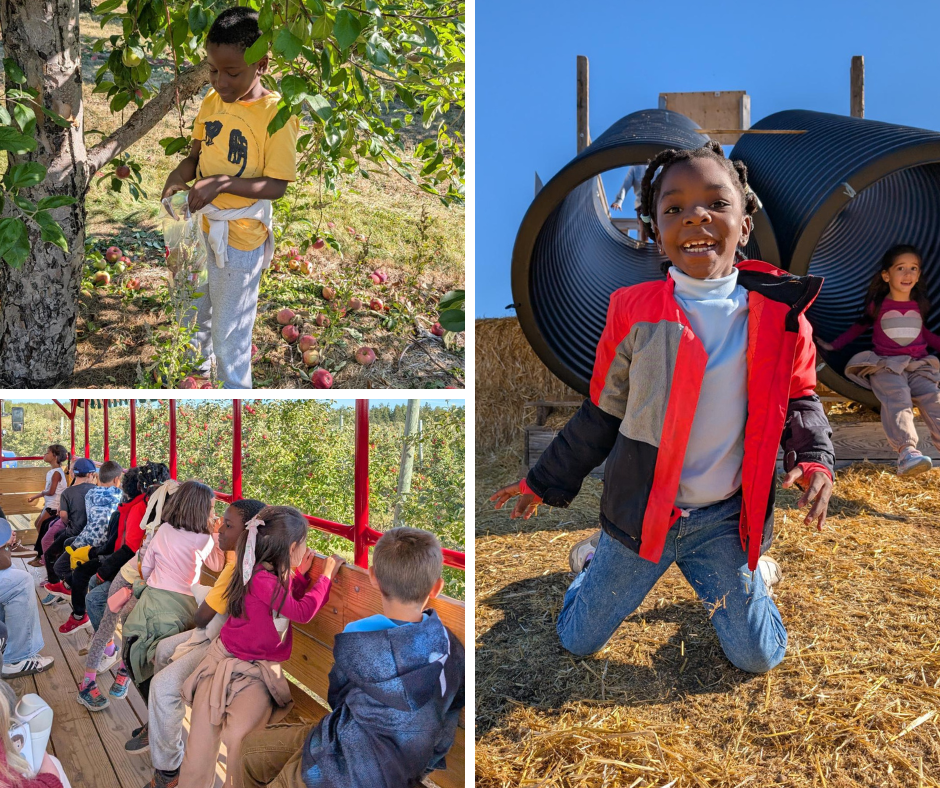 Création sans titre 30